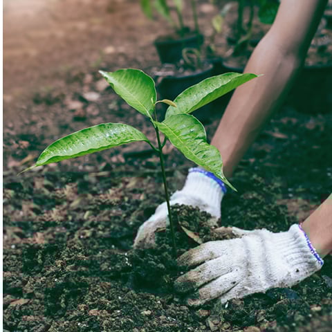 5Чем заняться на Оаху |2021 Гавайи