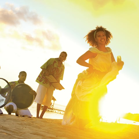 Маврикий Sega