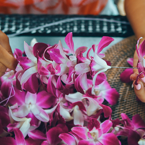 Бесплатные мероприятия для гостей — отели Waikiki