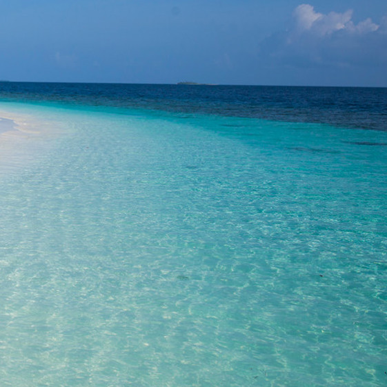 2018Решения о путешествиях