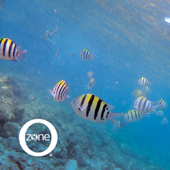 Солнцезащитный крем Reef Safe