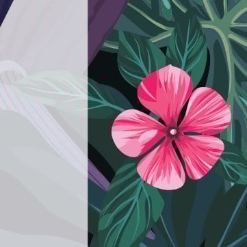 Праздничные мероприятия в Вайкики 2017