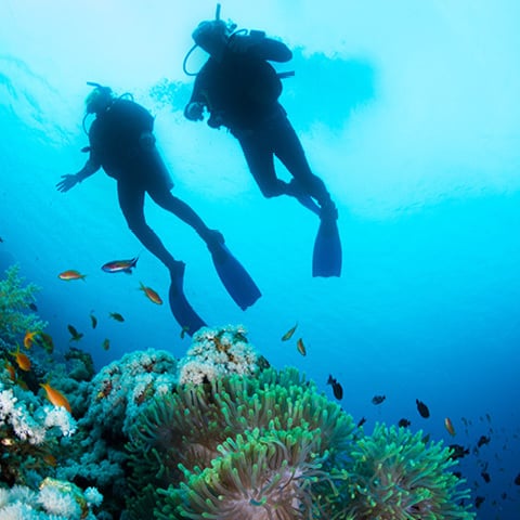 Лучшие места для дайвинга в Кхао Лак, Таиланд | Outrigger Khao Lak Beach Resort