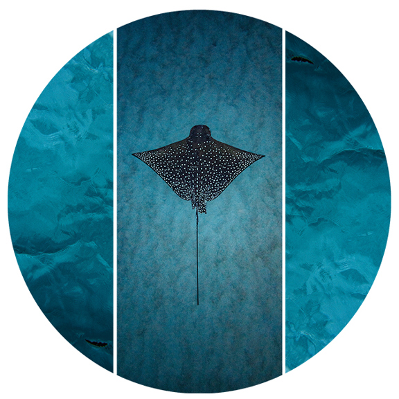 Терраса современного искусства Июль 2024