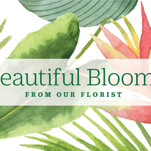 Букеты цветов Фиджи