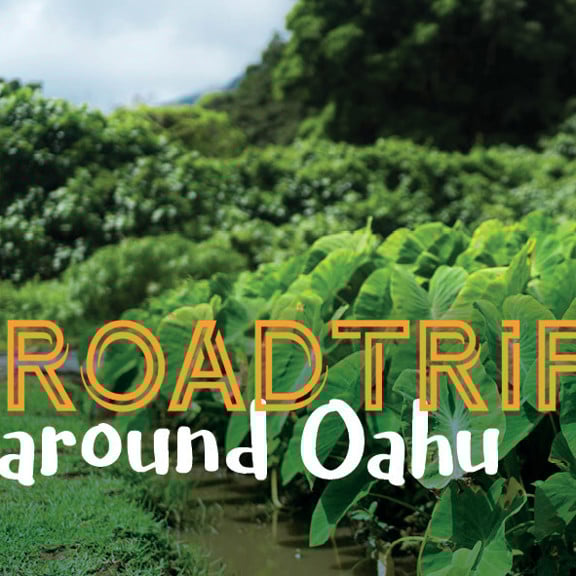 женщина ест ферма океан закат коллаж