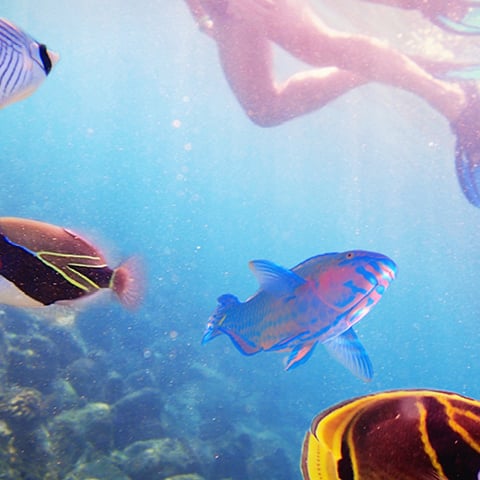 Правила использования солнцезащитных средств на Гавайях - Outrigger Hotels & Resorts