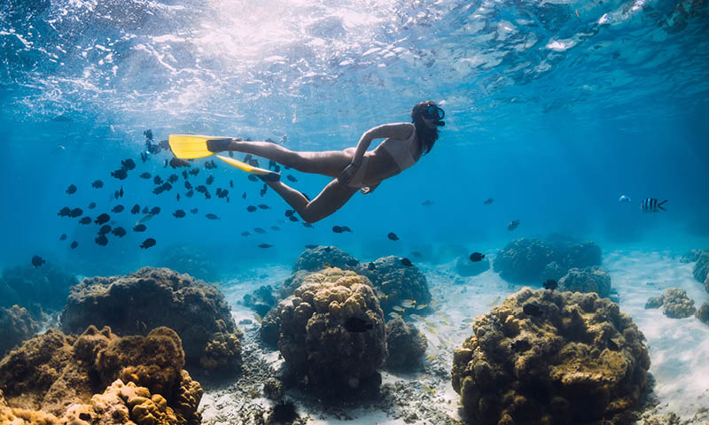 Ocean Conservation - The Outrigger ZONE